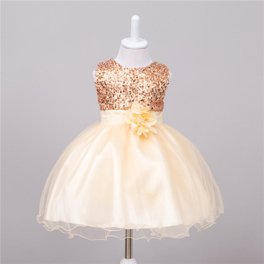 Baby Flower Girl Wedding Princess Dress